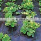 Weed Control Mat thumbnail-1