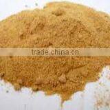 Phyllanthus Amarus Extract thumbnail-3