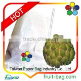 taiwan high quality paper bag for Shakya Sugarapple antibacterial bag