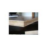 30mm Film Faced Plywood thumbnail-2