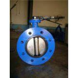 U Section Butterfly Valve(pin)
