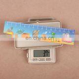 Factory Manufacture High Quality Promotional Gift pp Plastic Ruler thumbnail-2