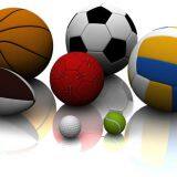 DINGZHOU DONGZHENG IMPORT AND EXPORT CO., LTD