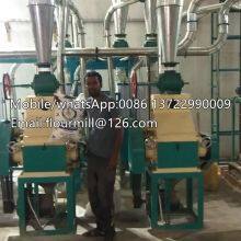 Industrial Maize Corn Flour Mill Plant Corn Grits Making Machine Semolina Processing Machine thumbnail-3
