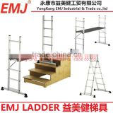 Multi-Purpose scaffold ladder
