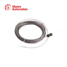 Bently Nevada 16710-32 thumbnail-2