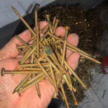 Yellow Zinc Plated Nails With Colored Plastic Cap – Export Wholesale Option thumbnail-4