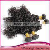 Tangle Free High Quality Unprocessed Brazilian Human Hair Afro Women Water Wave Hair Extension thumbnail-2