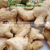 2016 - DRIED GINGER GOOD QUALITY - VIET NAM thumbnail-2