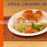 Biodegradable Sugarcane Plates thumbnail-2