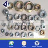 Main Product Zinc Finished Nut Good Quality Cold Forging Nut Standard and Nonstandard Nut
