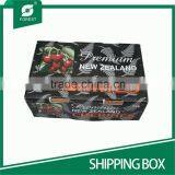 CORRUGATED PAPER SHIPPING BOX FOR FRESH FRUIT thumbnail-4