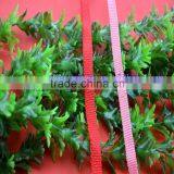 Supply High Quality 11MM Pink PP Ribbon Webbing thumbnail-5