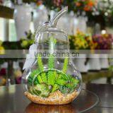 2016 New Style Home Decor Ashtrays Indoor Glass Plant Terrarium thumbnail-4