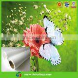 200gsm High Density More Rigid Eco Solvent pp Paper LATEX UV Ink for Roller up thumbnail-5