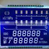 Custom Segment LCD Display Manufacturer in China