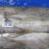 FROZEN LEATHER JACKET WHOLE thumbnail-4