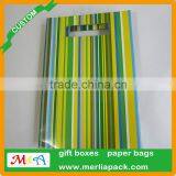 Luxury Paper Gift Bags Party Wedding Birthday With Euro Hook Slot Hang Tabs Bag thumbnail-2