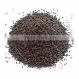 SABJA SEED thumbnail-1