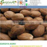 Nutmeg Whole l High Quality thumbnail-3