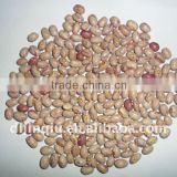 light speckled kidney beans huanan type