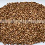 2016 Crop ---Roasted Buckwheat Kernels thumbnail-1