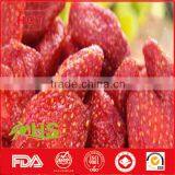 Dried Fruit of Dried Strawberry With High Quality thumbnail-3