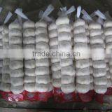 Supply 2016 Fresh Normal White Garlic thumbnail-3