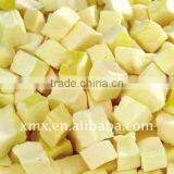 FD Dog Food Dog Sanck Apple