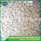 Factory Direct Sell Iqf Garlic Segment Garlic Clove Popular in Eruopean Market thumbnail-2