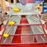 He'nan Zhongzhou Animal Husbandry Breeding Equipment Co., LTD company overview - view 3 thumbnail