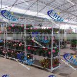 232 Layer for European Flower Trolley Layer for Pot Plant Trolley Layer for the Flower and Pot Plant Trolley thumbnail-2