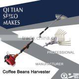 COFFEE BEANS PICKING thumbnail-1