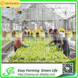 Construction of a Low Cost Greenhouse thumbnail-2