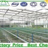 Galvanized Wire Mesh Greenhouse Rolling Benches