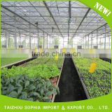 Best selling durable using uv hdpe film greenhouse