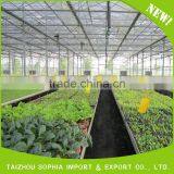 2016 High Quality Popular pe Protective Film Greenhouse thumbnail-4