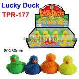 Plastic Squeeze Lucky Duck Toys thumbnail-1