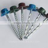 Twisted Nails With Plastic Head thumbnail-5