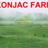 Ator Food Co., Ltd. (Shenzhen) company overview - view 1 thumbnail