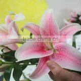 Best Selling Flower Adorable Fresh Cut Lily Mother's Day Gift Natural Lily From Yunnan thumbnail-4