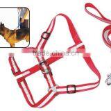 Dog Chain Dog Collar Pet Products thumbnail-1