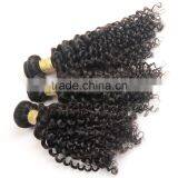 Indian Hair Vendor Direct Selling Raw Indian Temple Curly Hair thumbnail-3