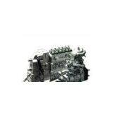 Assembly Injection Pump