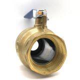 Inline Ball Check Valve Diameter Dn15 / Dn20 / Dn40 Automatically Cleaned