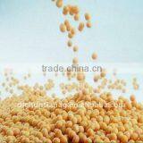 Chinese Organic Soybeans thumbnail-1