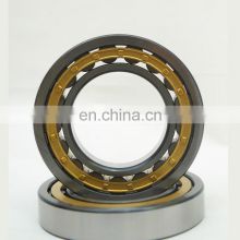 Hot Selling Factory Price Silver NU207 Double Row Cylindrical Roller Bearing Carbon RN309