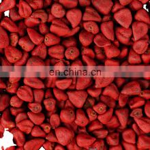 Premium Quality Red Annatto seeds/Best shelling natural dried annatto seed from Vietnam