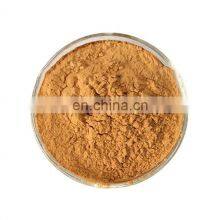 SCIYU Echinacea Purpurea Extract Cichoric Acid 1%-4% Polyphenols 4%-7% HPLC UV thumbnail-3