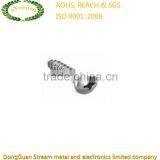 China Philips Head Screw